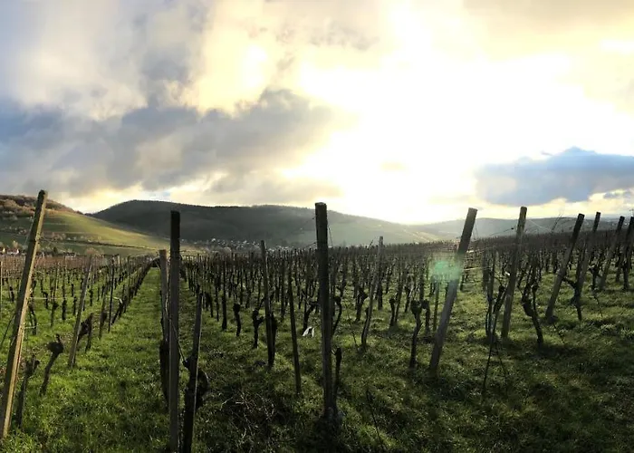 Gasser アパート *