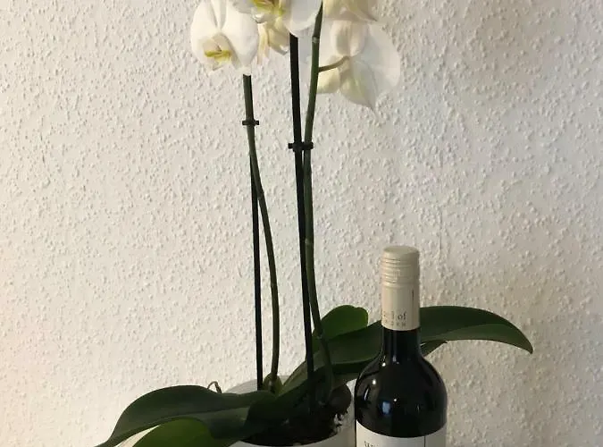 アパート Gasser *